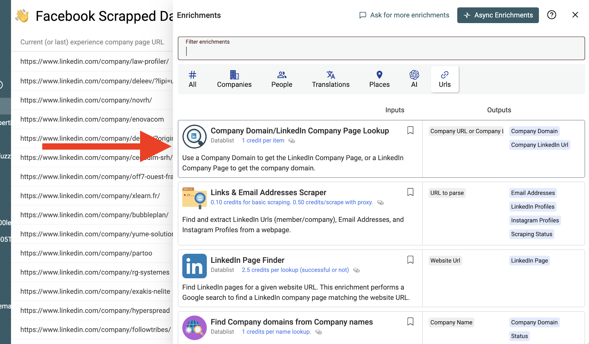 Company Domain/LinkedIn Company Page Lookup