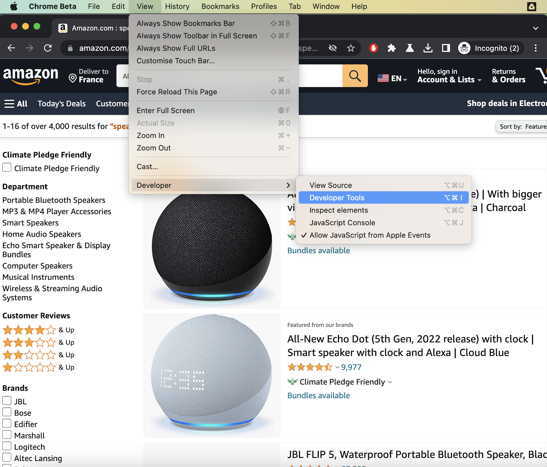Open Chrome Developer Tools